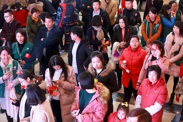 白鹭金岸最新,白鹭金岸，探寻新时代的魅力与活力，白鹭金岸，探寻新时代的魅力与活力新篇章