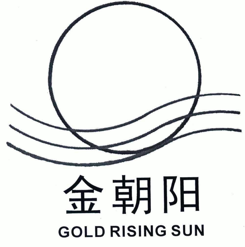 金朝阳最新报道,金朝阳最新报道，探寻新时代的朝阳之光，金朝阳最新报道，探寻新时代的朝阳之光闪耀之处