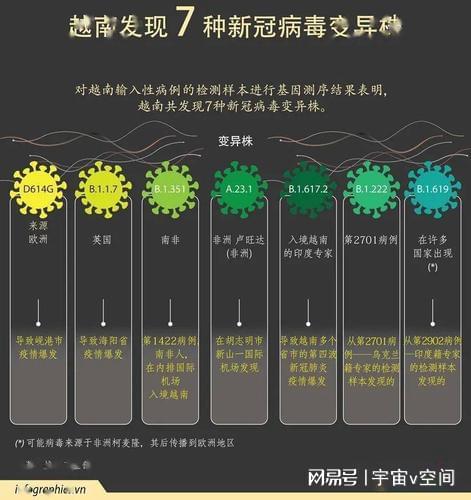 2024年12月新冠高峰期,设计规划引导方式_设计师版95.112