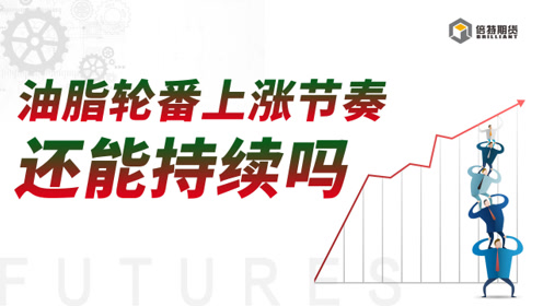 2024新澳门跑狗图今晚特,全身心数据指导枕_原创性版95.196