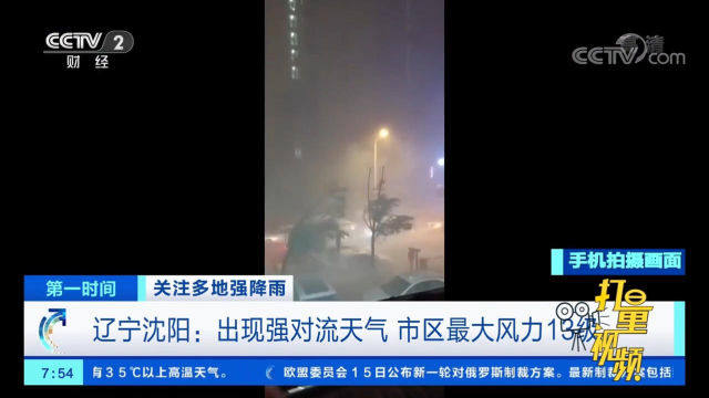 沈阳大雨视频最新,沈阳大雨视频最新，城市雨中的生动故事，沈阳大雨下的城市故事，最新视频展现雨中生动景象