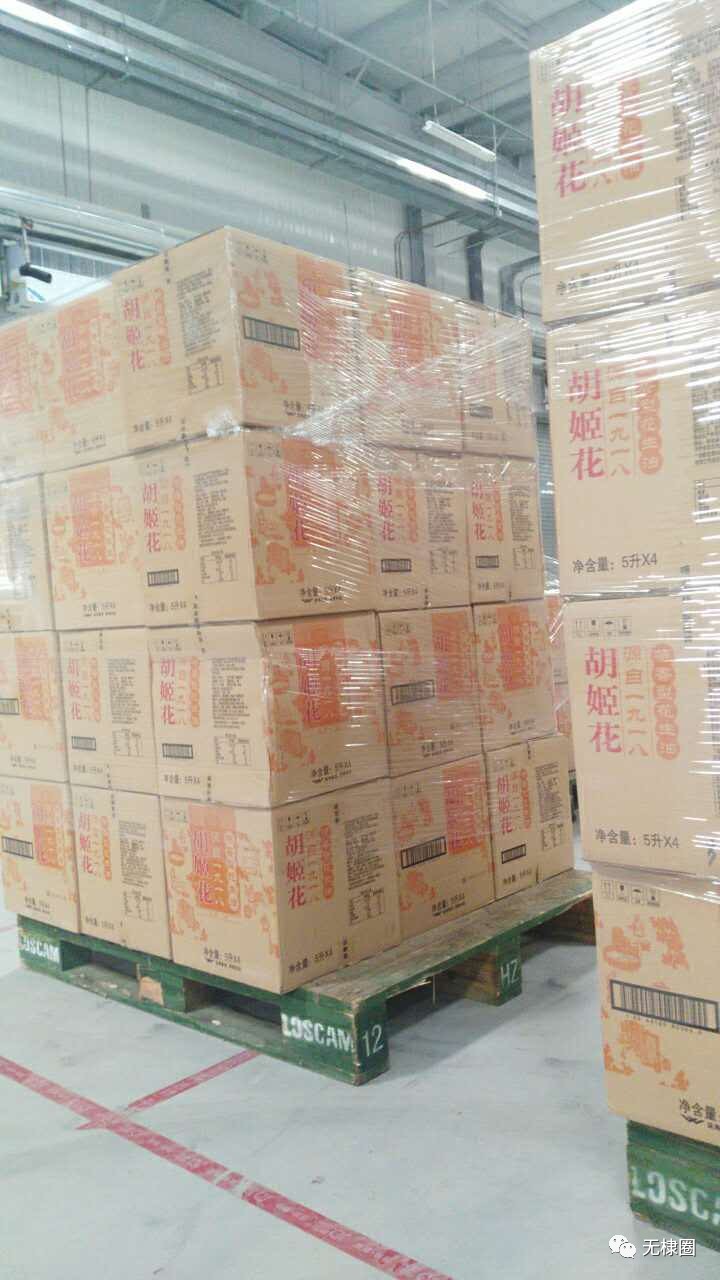 无棣招工信息最新,无棣招工信息最新，探寻职业发展的无限可能，无棣最新招工信息，探寻职业发展无限可能