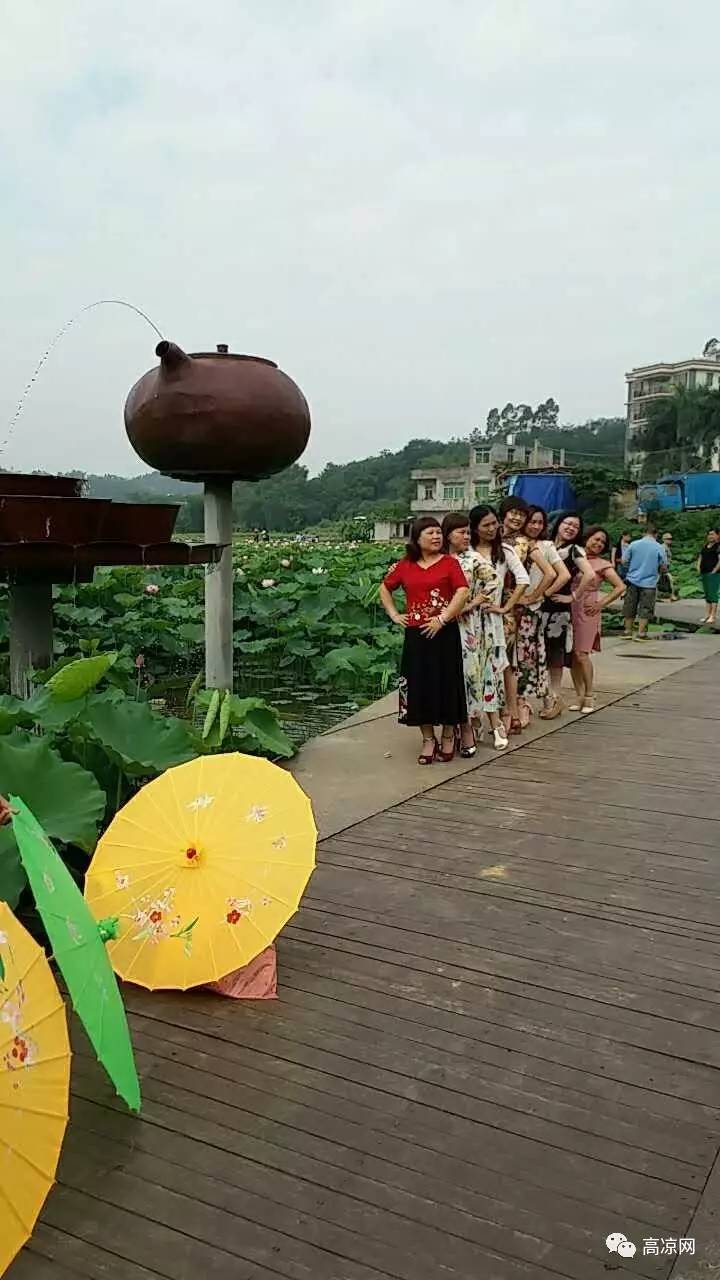 高州荷花杀人最新,高州荷花杀人事件，迷雾中的真相探寻，高州荷花杀人事件揭秘，探寻迷雾中的真相