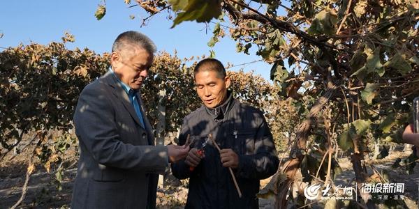 天山生物股票最新价格,天山生物股票最新价格，市场走势与投资者洞察，天山生物股票最新价格及市场走势与投资者洞察分析
