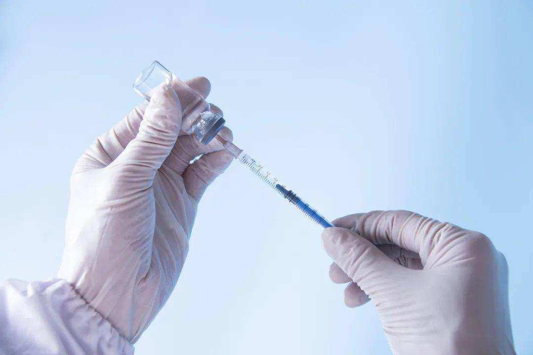 中国疫苗最新事件,中国疫苗最新事件，守护生命之盾的坚定步伐