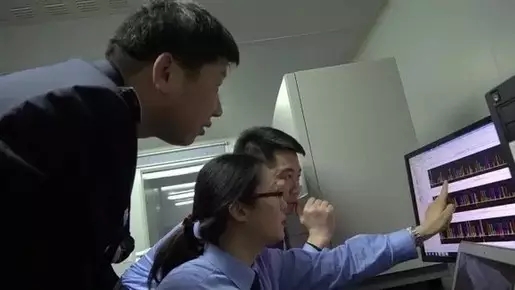 最新临海杀人案,最新临海杀人案，迷雾中的真相探寻，临海最新杀人案，迷雾中的真相调查