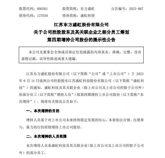 东方盛虹最新公告,东方盛虹最新公告引领未来，共创辉煌新篇章，东方盛虹最新公告引领未来，开启共创辉煌新篇章