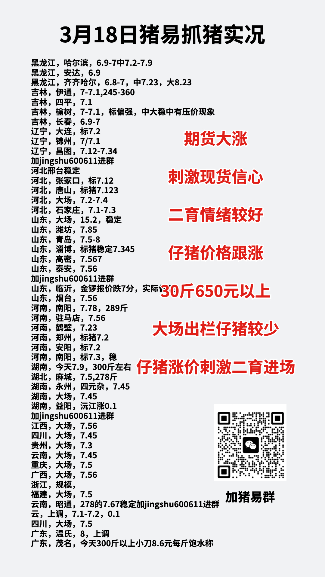 仔猪今日价格最新行情,仔猪今日价格最新行情，市场走势深度解析，深度解析，仔猪今日价格最新行情与市场走势