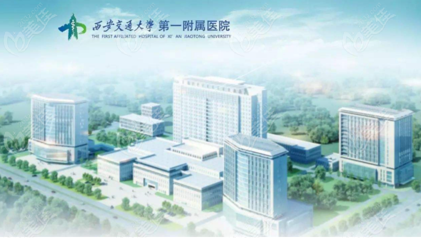 西京整形医院最新价格表,西京整形医院最新价格表，透明、公正，为您的美丽保驾护航，西京整形医院最新价格表公布，透明公正，专业护航您的美丽之路