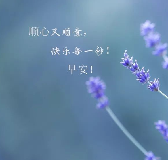 每日清晨温馨问候,每日清晨温馨问候，开启美好一天的序曲，清晨温馨问候，开启美好一天的序曲，传递温馨关怀的力量