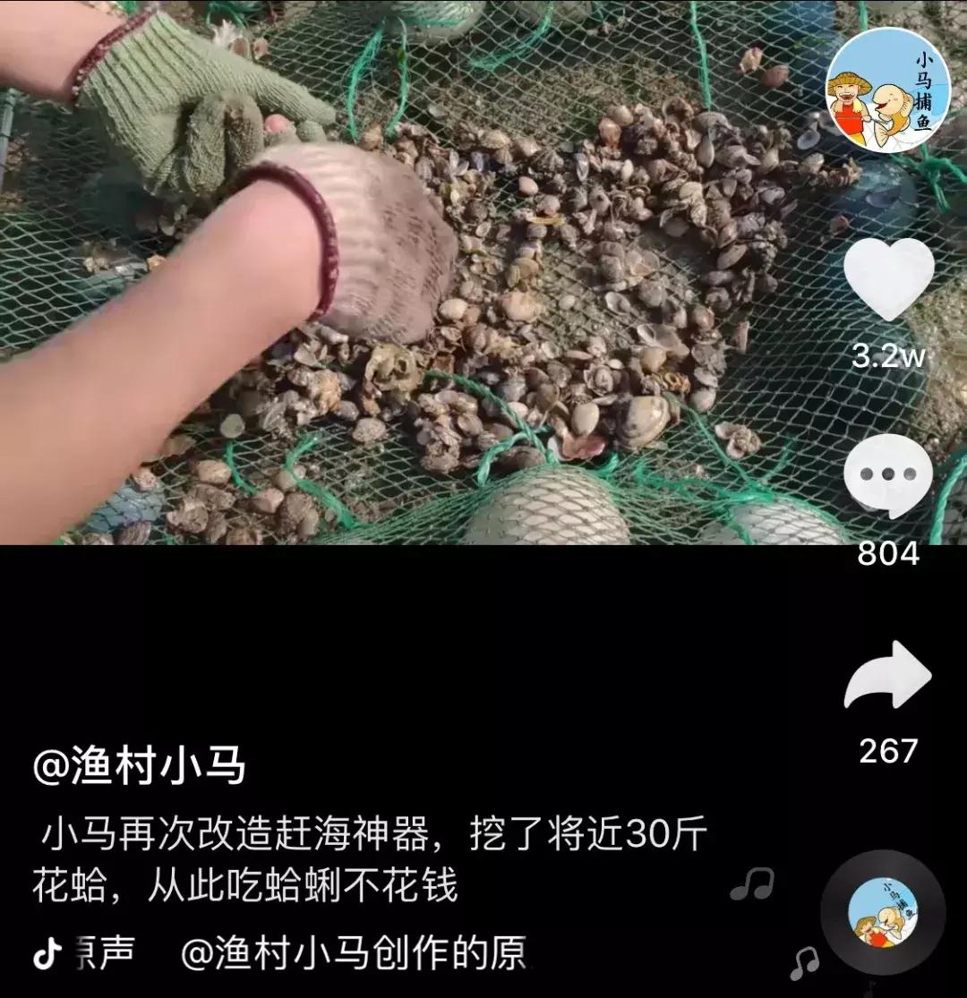 小马赶海视频最新,小马赶海视频最新，探索海洋的奇妙之旅，小马赶海最新视频，探索海洋的奇幻之旅