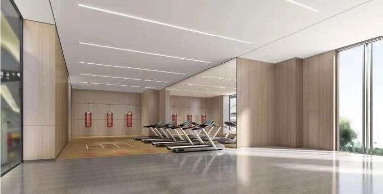 市北高新最新消息,市北高新最新消息引领未来科技潮流，市北高新最新消息，引领未来科技潮流的新动力