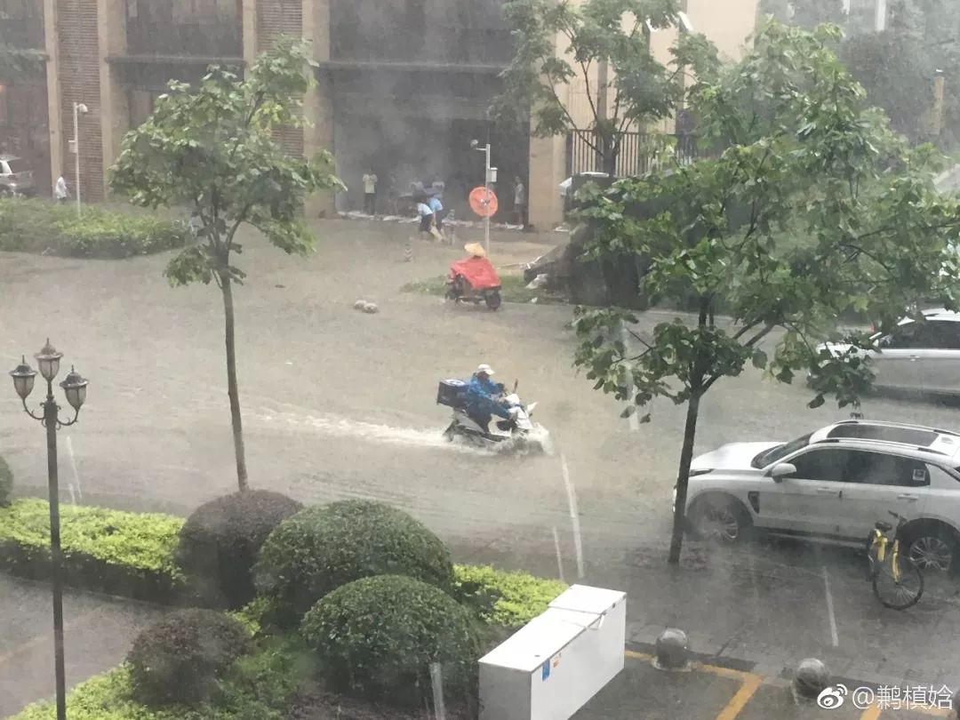 成都最新暴雨预警,成都最新暴雨预警，如何应对突如其来的雨季挑战，成都暴雨预警发布，应对雨季挑战的措施与准备