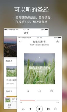 微读圣经最新版,微读圣经最新版，探索神圣篇章的新体验