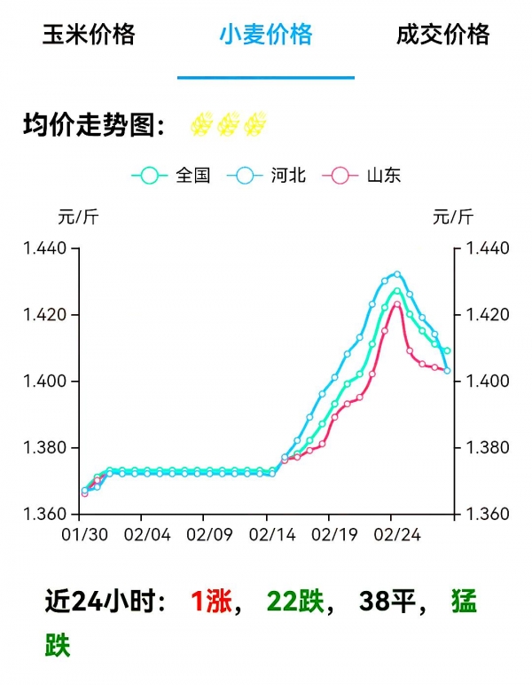 保定小麦最新价格,保定小麦最新价格，市场走势与种植户的心声，保定小麦最新价格，市场走势揭秘与种植户的真实心声