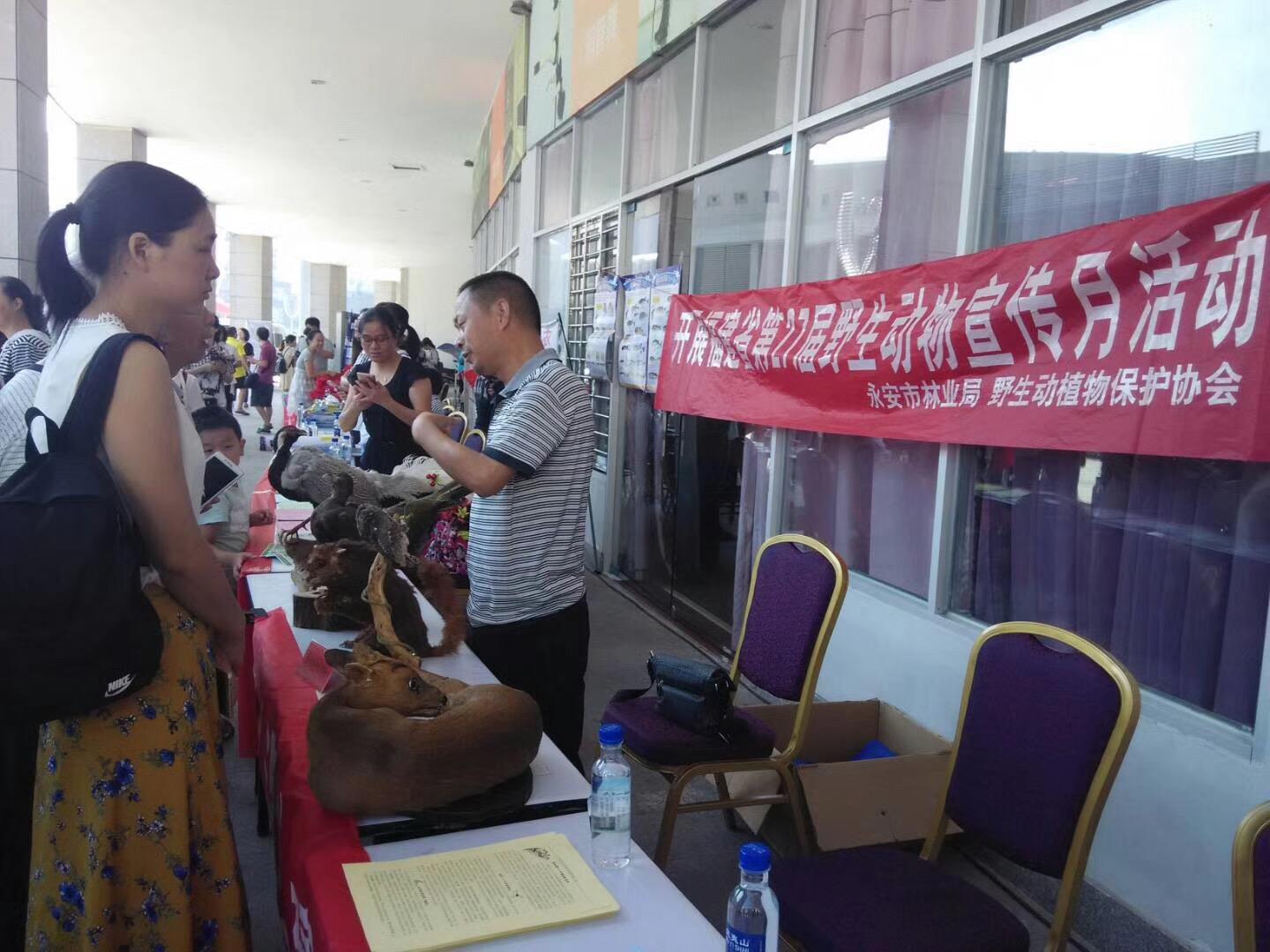 永安林业最新消息,永安林业最新动态，绿色发展的未来展望，永安林业最新动态及绿色发展未来展望