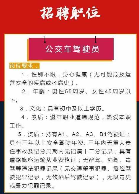 招驾驶员 最新招聘信息,最新招聘信息，招驾驶员，启程同行，一起追逐梦想！，最新驾驶员招聘信息，启程同行，追逐梦想！