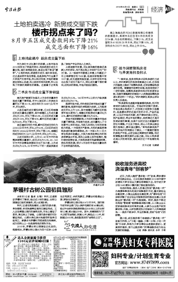 宁波土地拍卖最新消息,宁波土地拍卖市场的新篇章，最新动态与未来展望，宁波土地拍卖市场新篇章揭秘，最新动态与未来展望