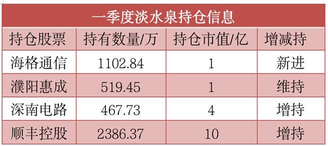 淡水泉最新持股,淡水泉最新持股动向，探寻未来投资新领域，淡水泉最新持股动向，探寻未来投资新领域布局策略