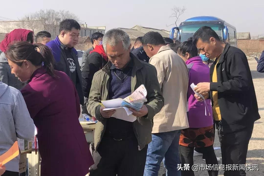 德惠最新招聘信息,德惠最新招聘信息引领你走向职业发展的新天地，德惠最新招聘信息，引领你走向职业新天地