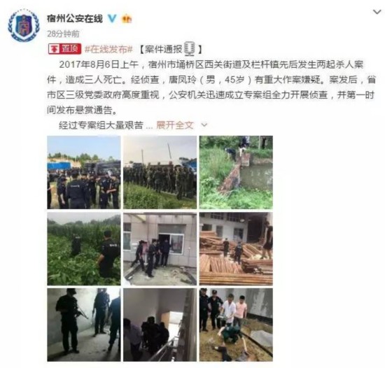 宿州唐凤玲杀人案最新情况,宿州唐凤玲杀人案最新情况深度解析，宿州唐凤玲杀人案最新情况深度报道/解析